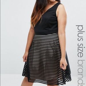 ASOS Curve Black and Champagne Skater Dress